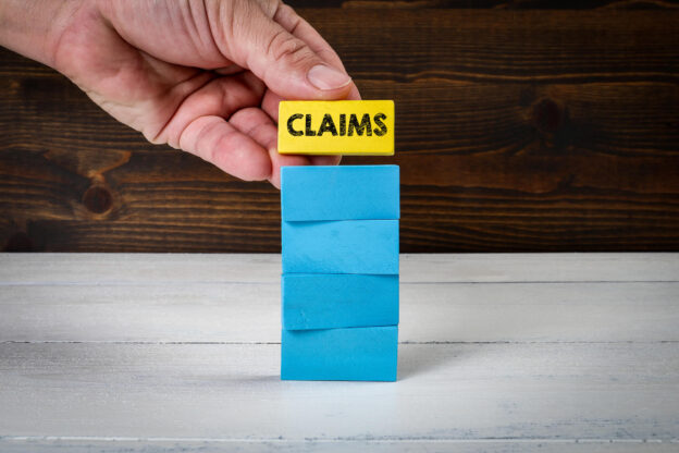 Common Challenges and Issues in the Claims Process